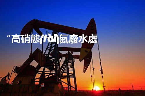 “高硝態(tài)氮廢水處理，綠色環(huán)保新篇章”
